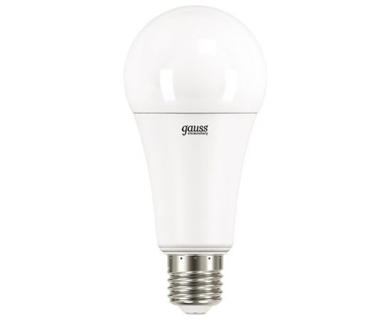  Лампочка Gauss 73219 Elementary A67 30W 
